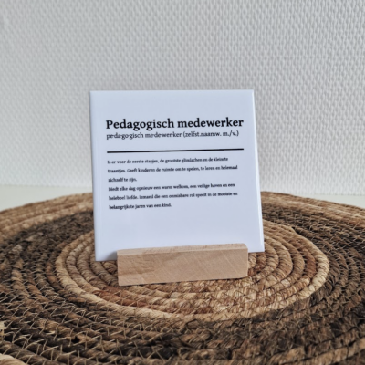 Pedagogisch professional